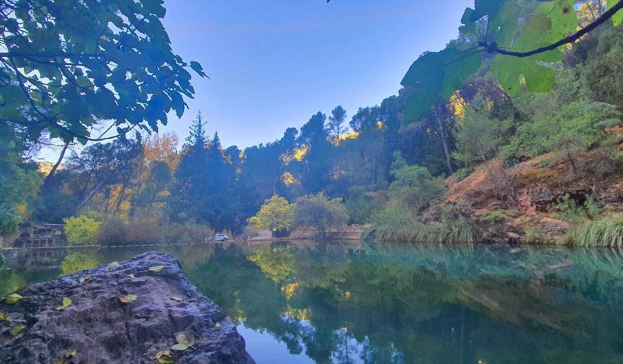 Charco del aceite