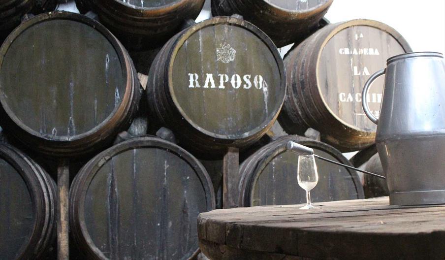 Raposo