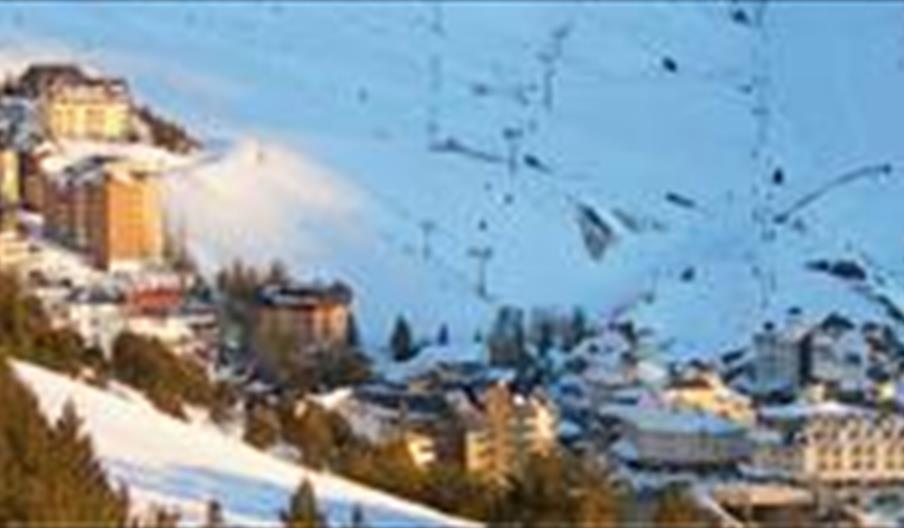 Ski Service