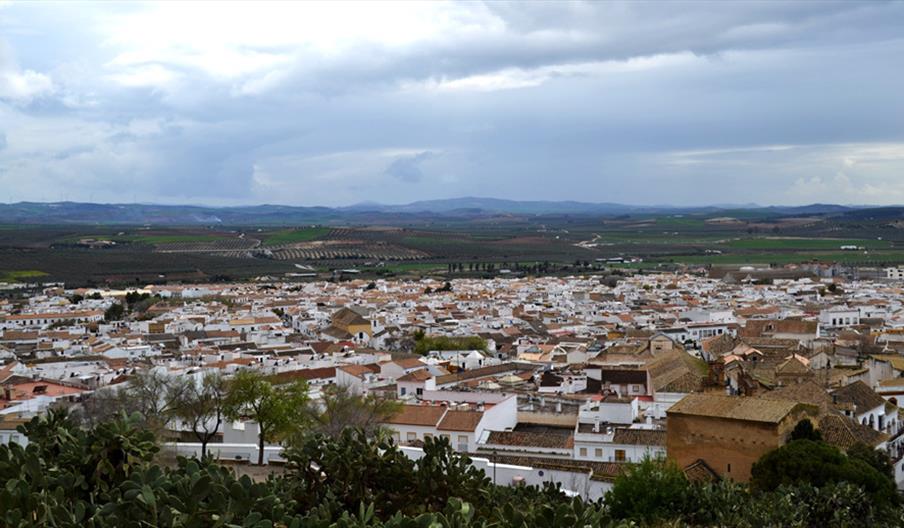 Osuna
