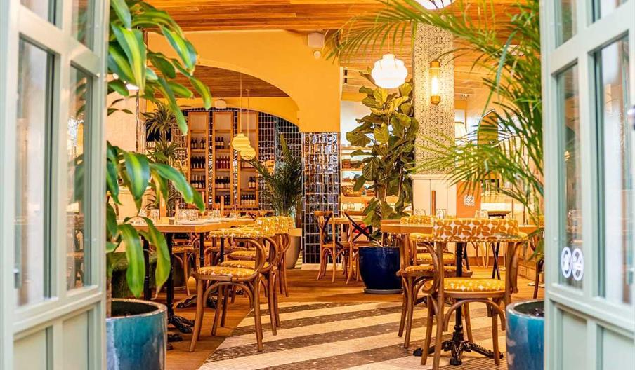 Café Santacruz