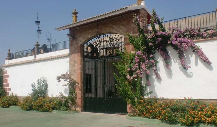 Hostal Molina Plaza