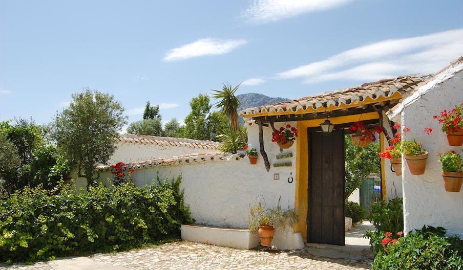 Vivienda Rural Cortijo Pulgarín Bajo - El Cortijo