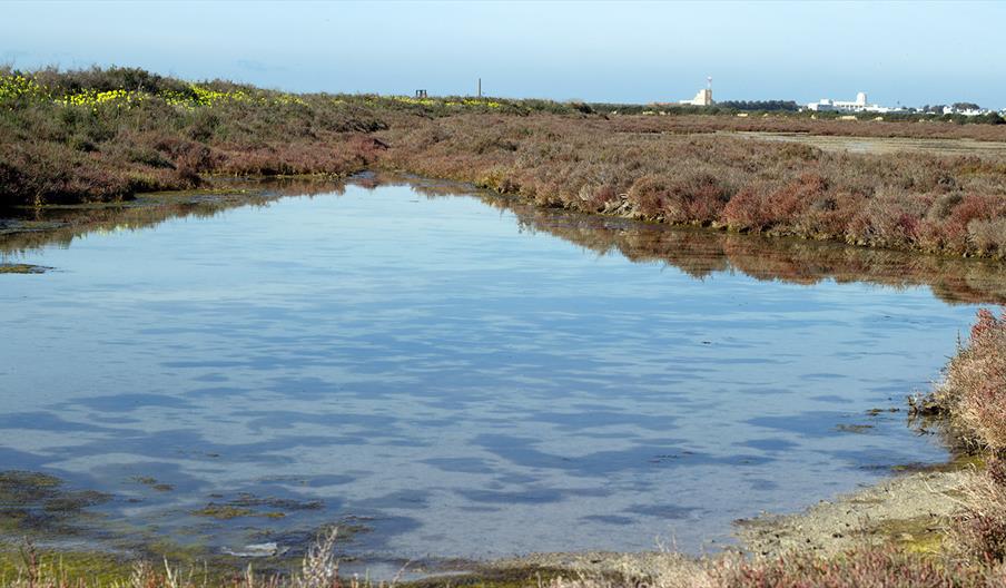 Bahía de Cádiz