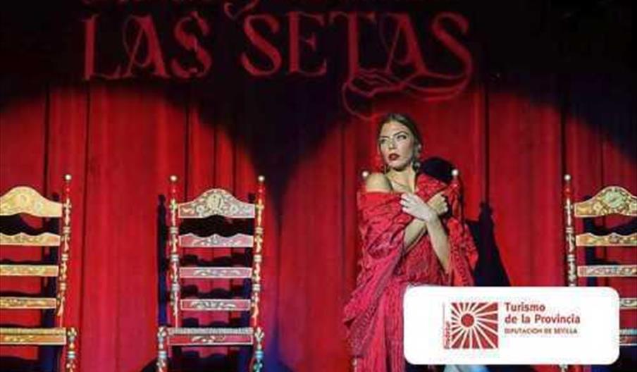 Tablao Flamenco Las Setas