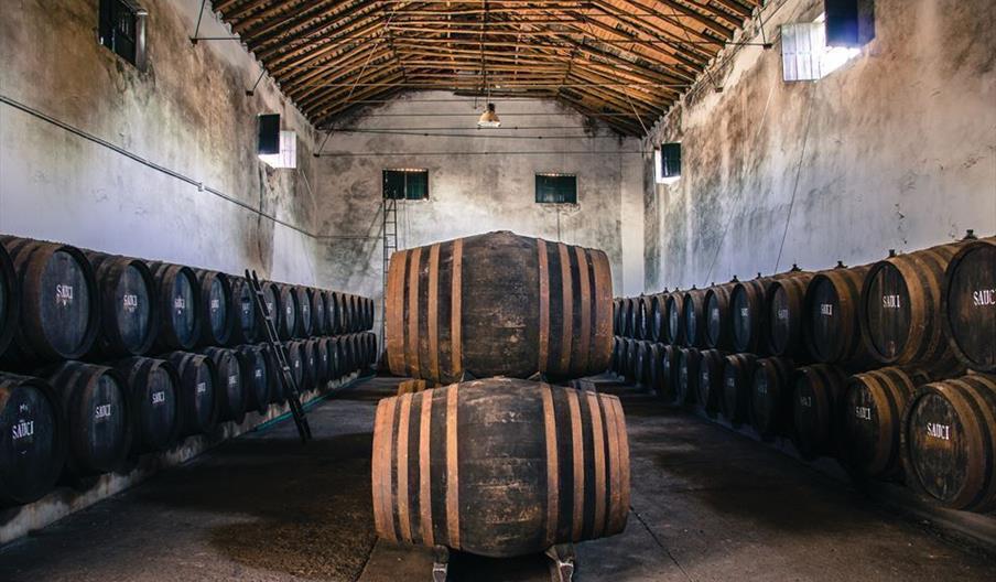 Bodegas Sauci