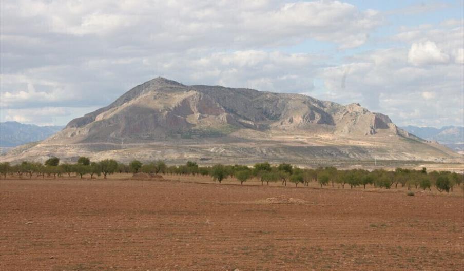 Bodegas Jabalcón