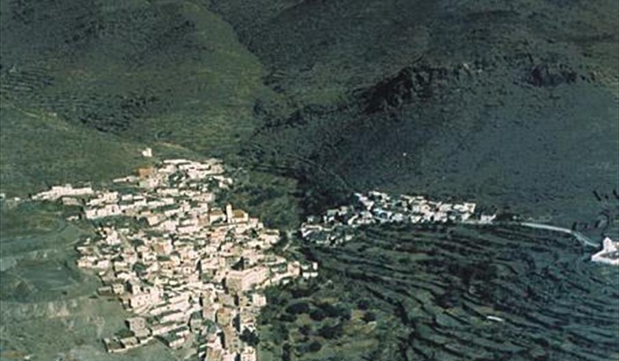 Velefique
