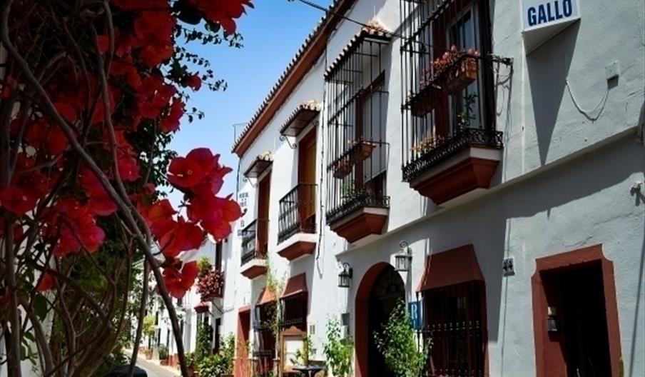 Hostal El Gallo