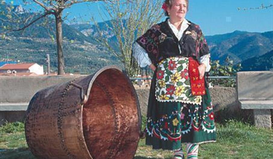 Siles