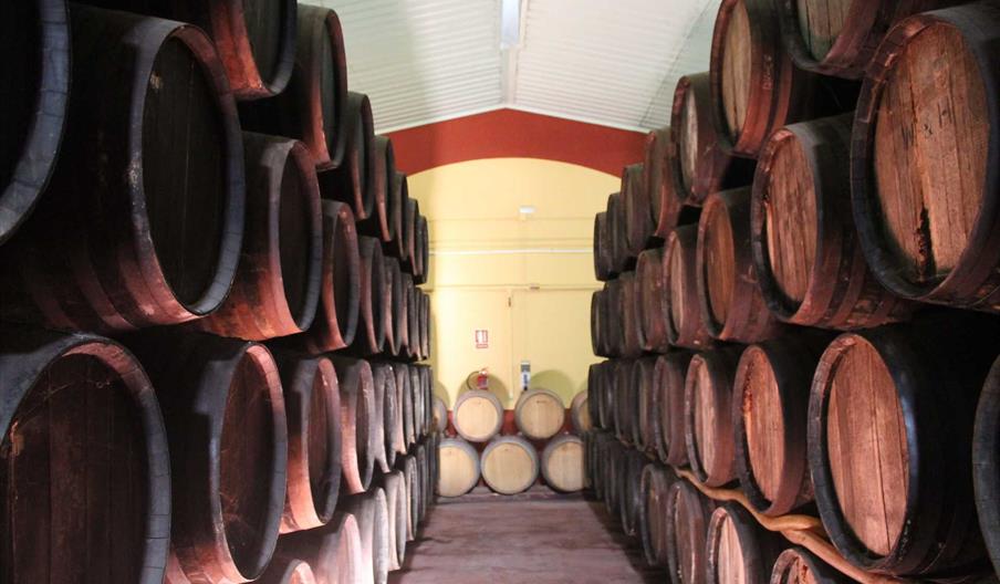 Bodegas Carpe Diem