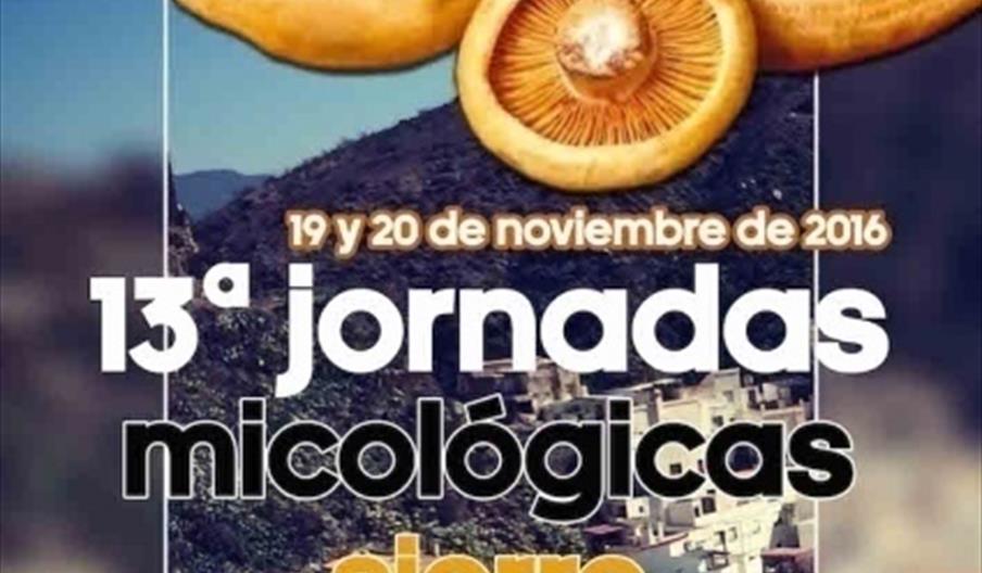 Jornadas Micológicas en Sierro