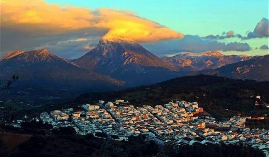 Prado del Rey