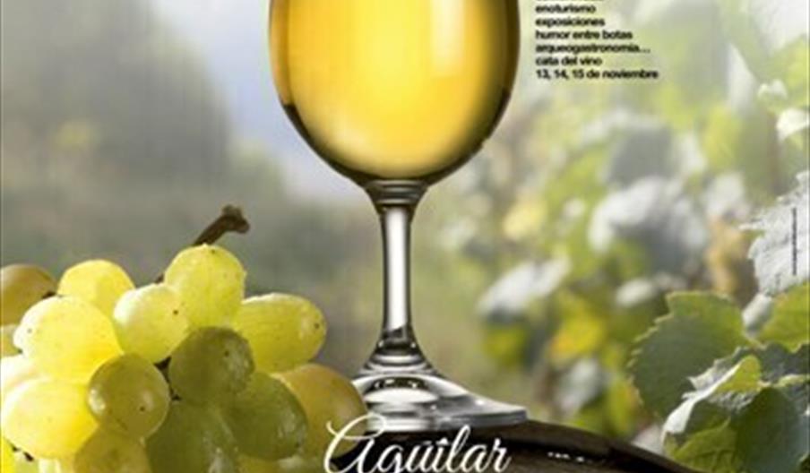 Semavin. La cultura del vino