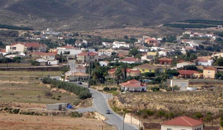 Antas