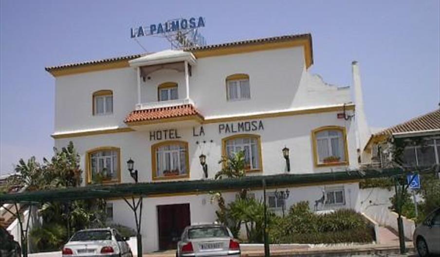 La Palmosa