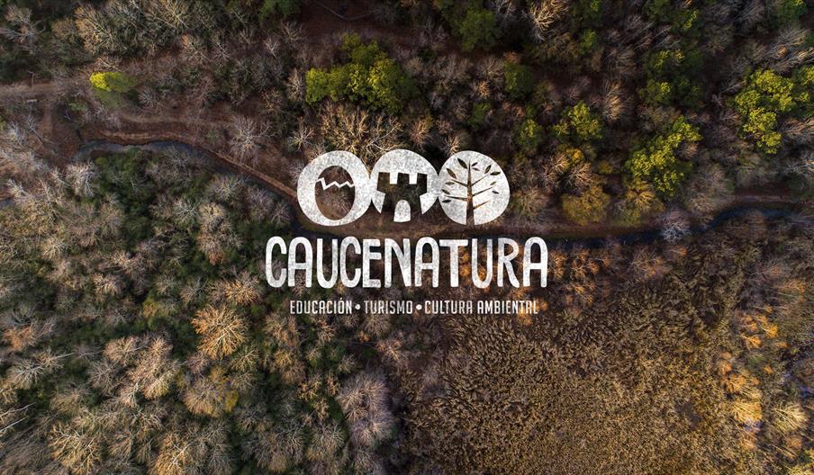 Caucenatura