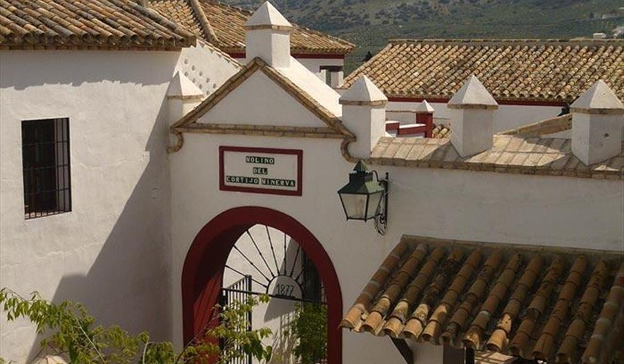 Hacienda Minerva