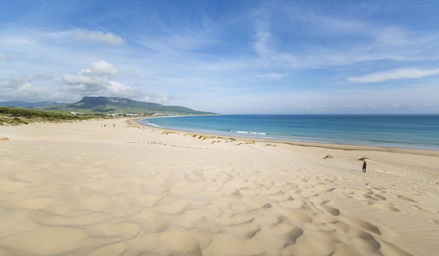 Bolonia