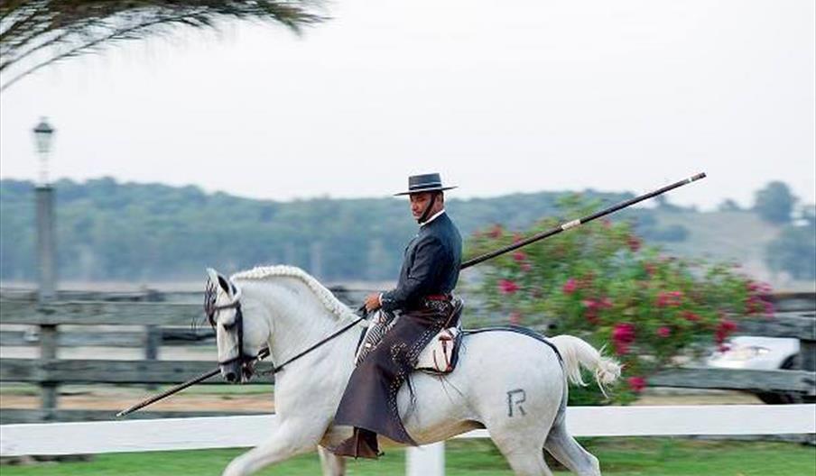 Rancho El Rocío