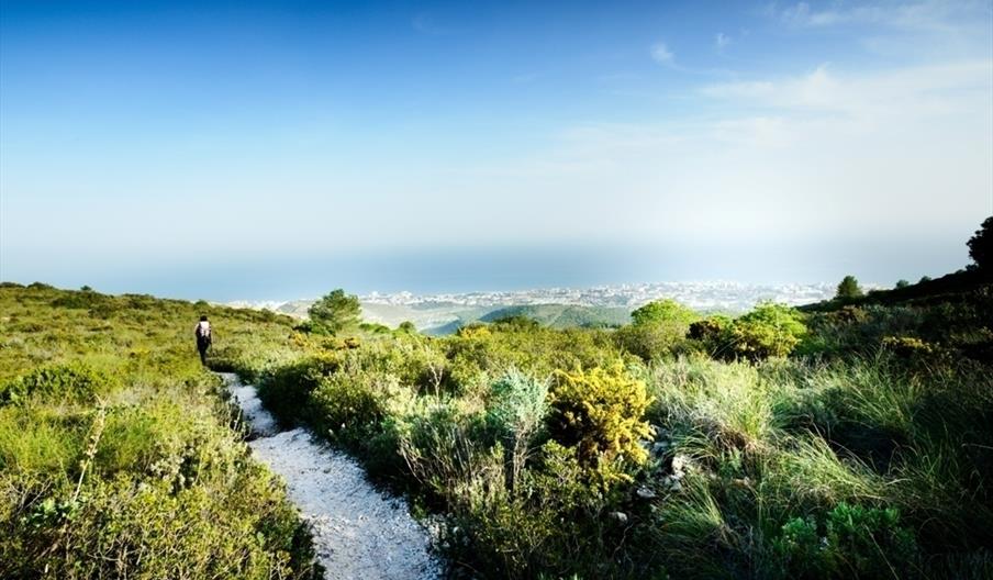 Cañada del Lobo