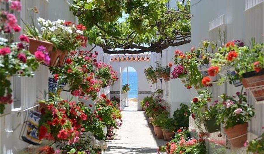 Patio Andaluz