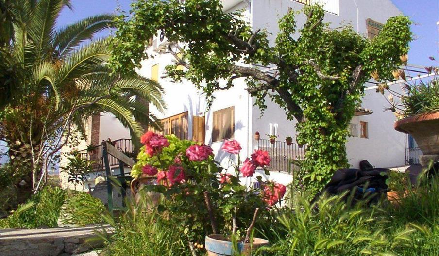 Pensión Al-Qutun