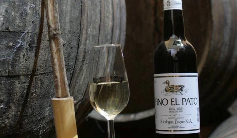 Bodegas Luque