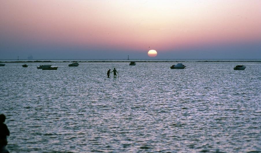Doñana