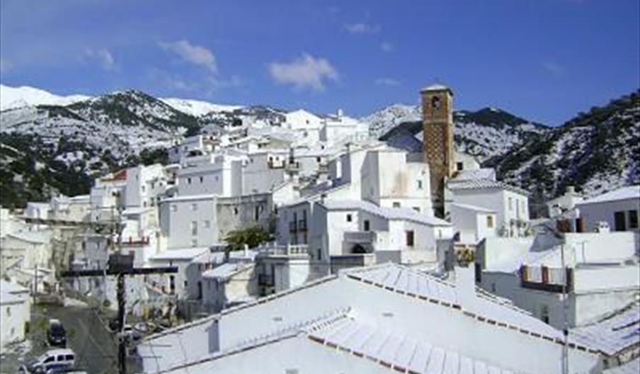 Salares