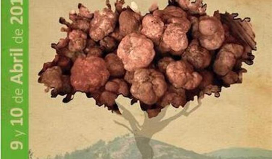 Feria Gastronómica del Andévalo: La turma, la trufa blanca
