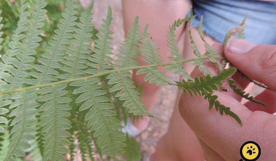 Explora Natura