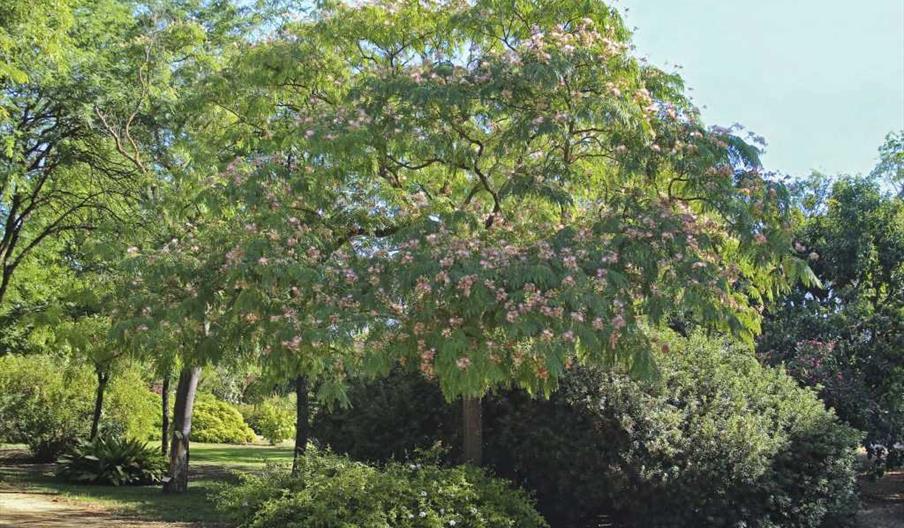 Jardín botánico El Arboreto
