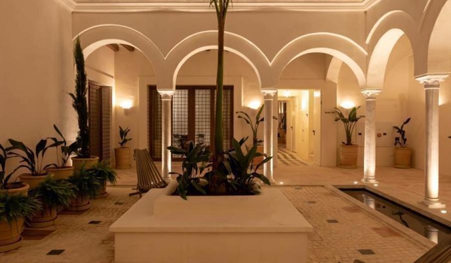 Apartamentos El Burro Sabio