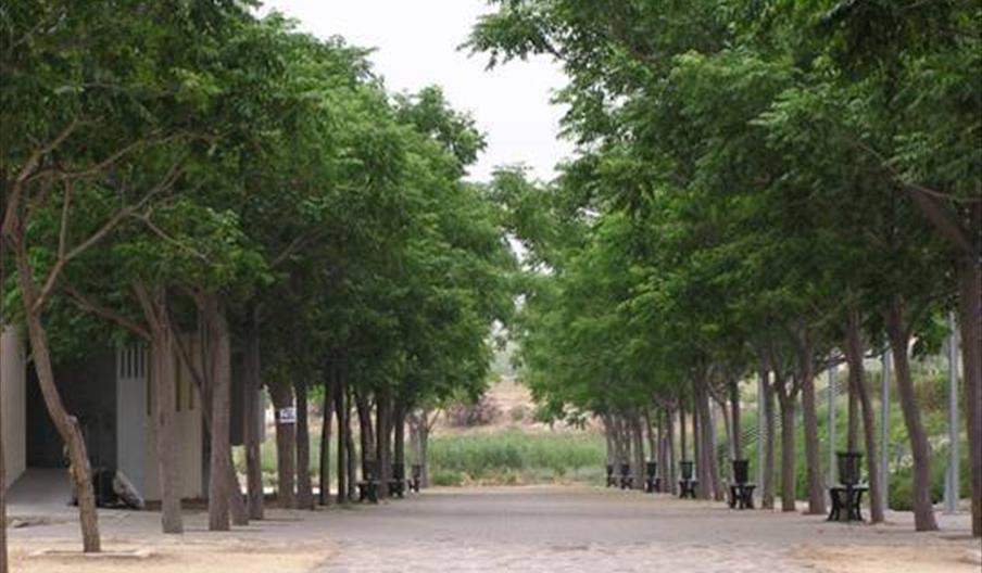 Parque del Corbones