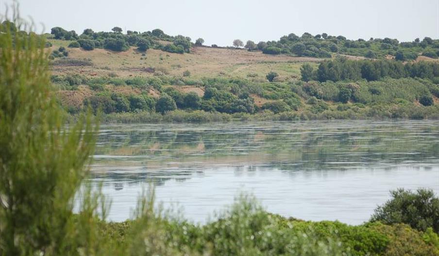 Laguna de Medina