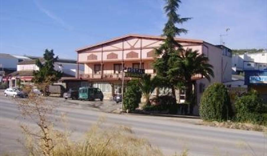 Las Palomas
