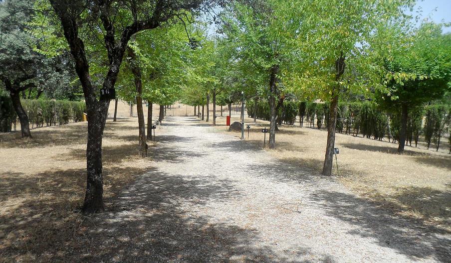 Camping La Mirada