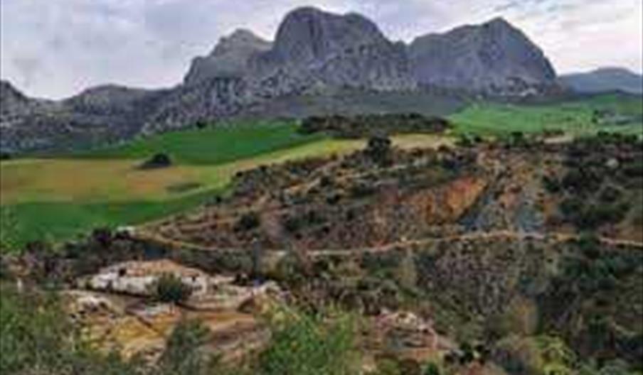 Cuevas Rupestres del Cortijo de Auta