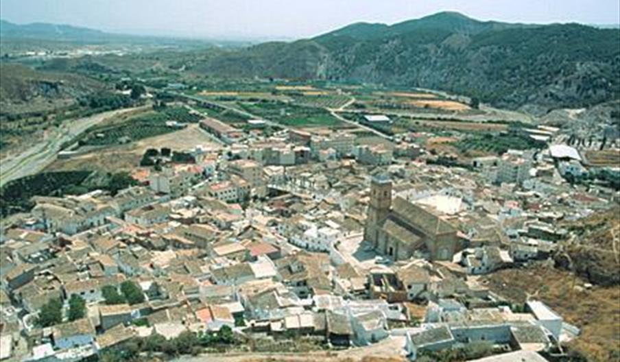 Purchena