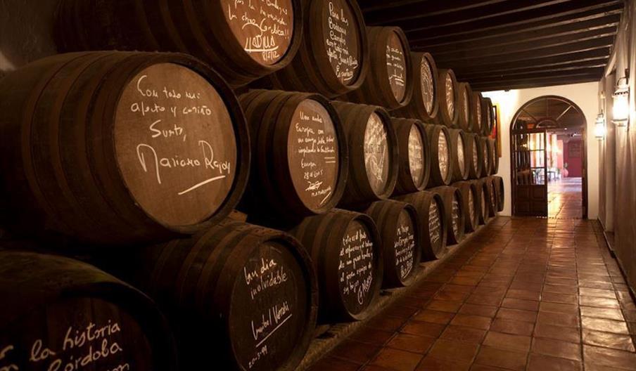 Bodegas Campos
