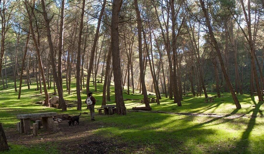 Monte La Sierra