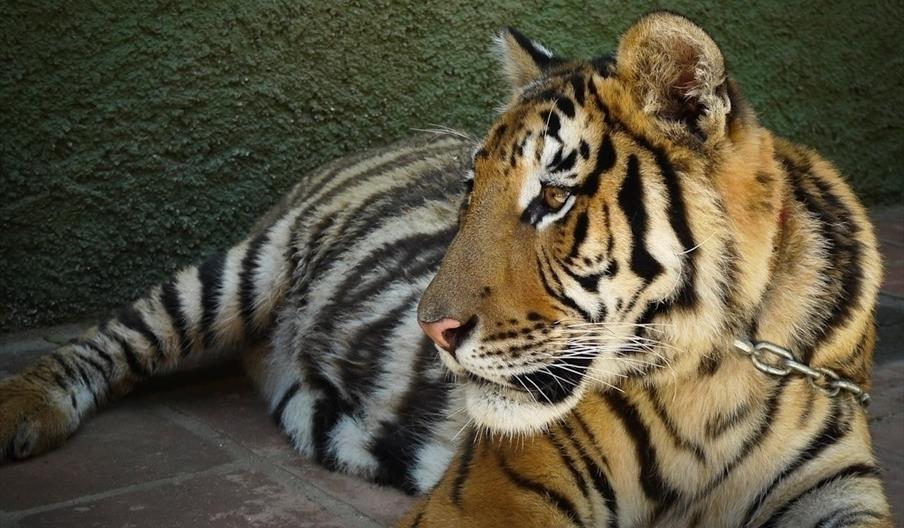 Zoo de Castellar