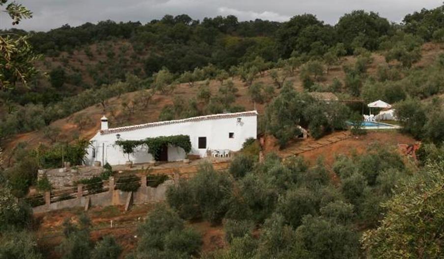 Maripasa