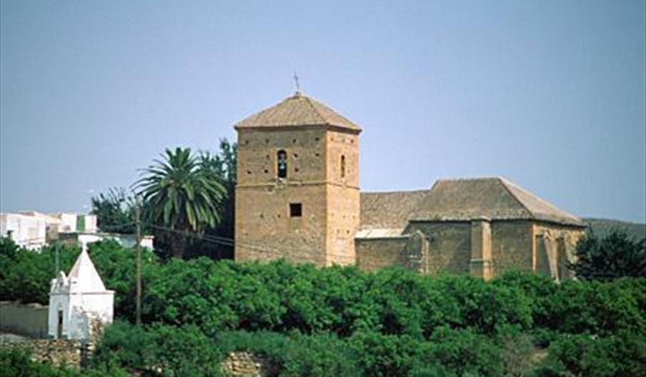 Alsodux