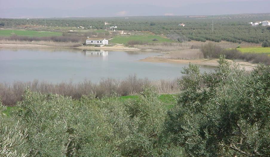Laguna del Gosque