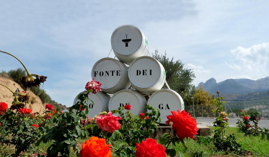 Bodegas Fontedei
