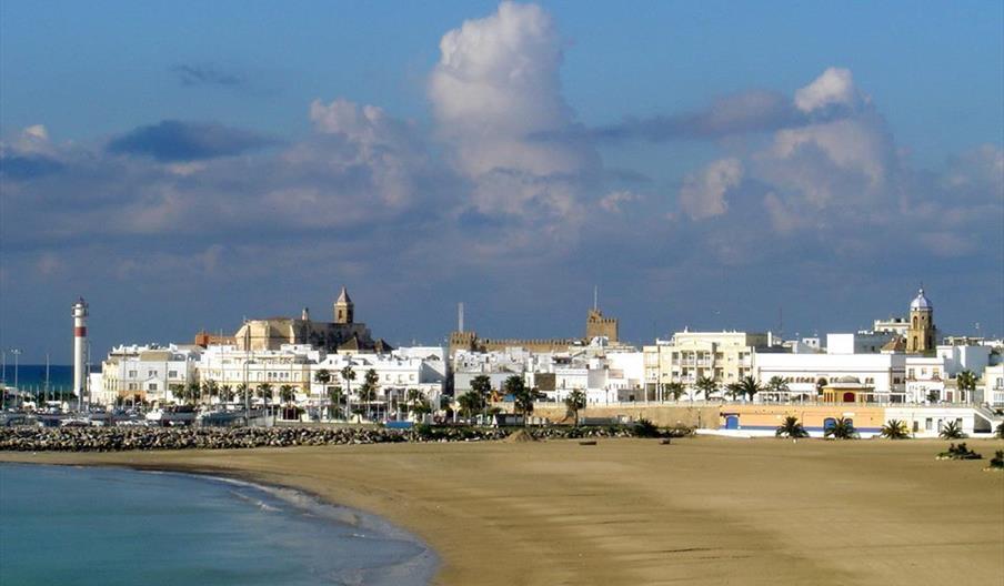 Rota