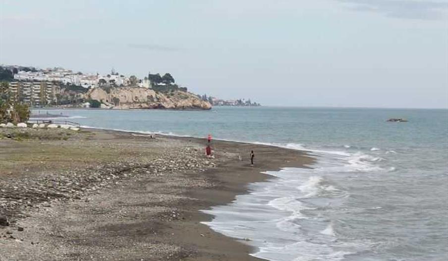 Playa Canina
