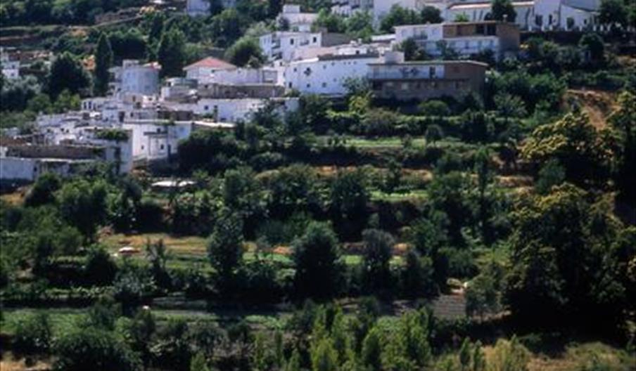 Játar